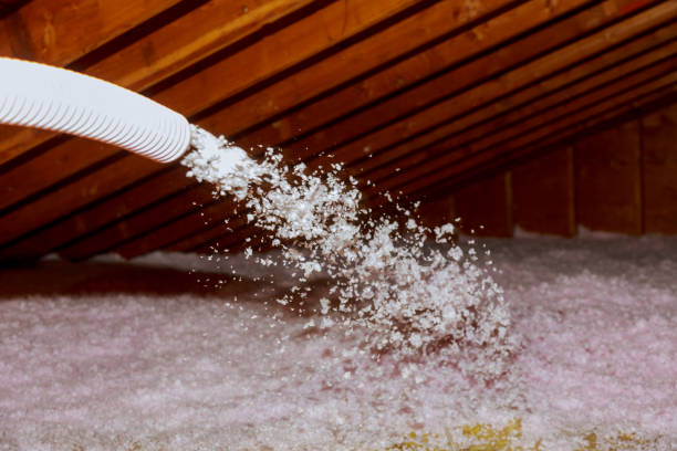 Best Insulation Installation Services in Edgerton, WI
