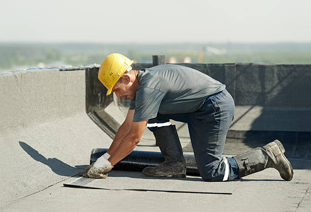 Best Commercial Insulation in Edgerton, WI